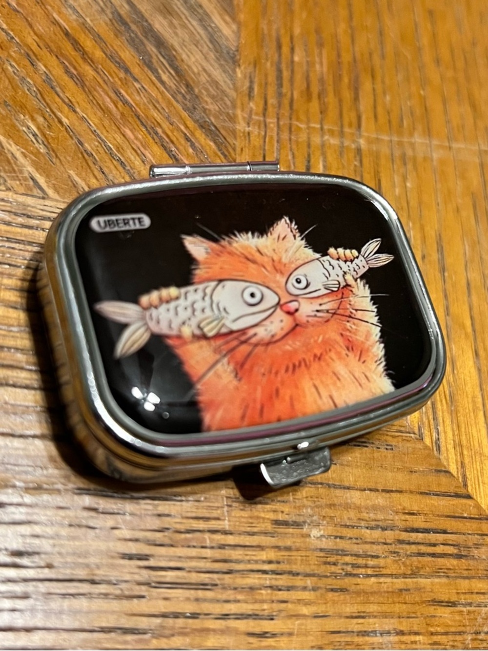 New Whimsical Cat & Fish Design Pill Box #314